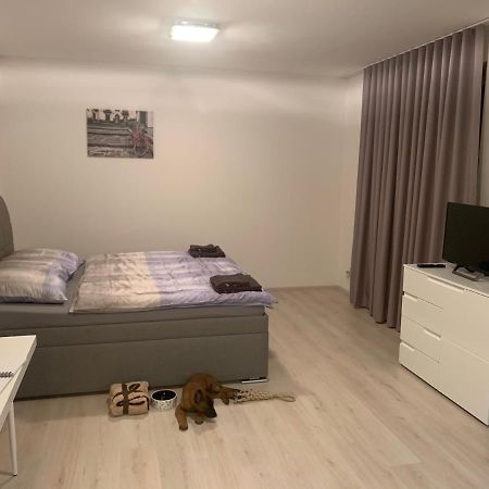 Modern Apartment In The City Center بلزن المظهر الخارجي الصورة