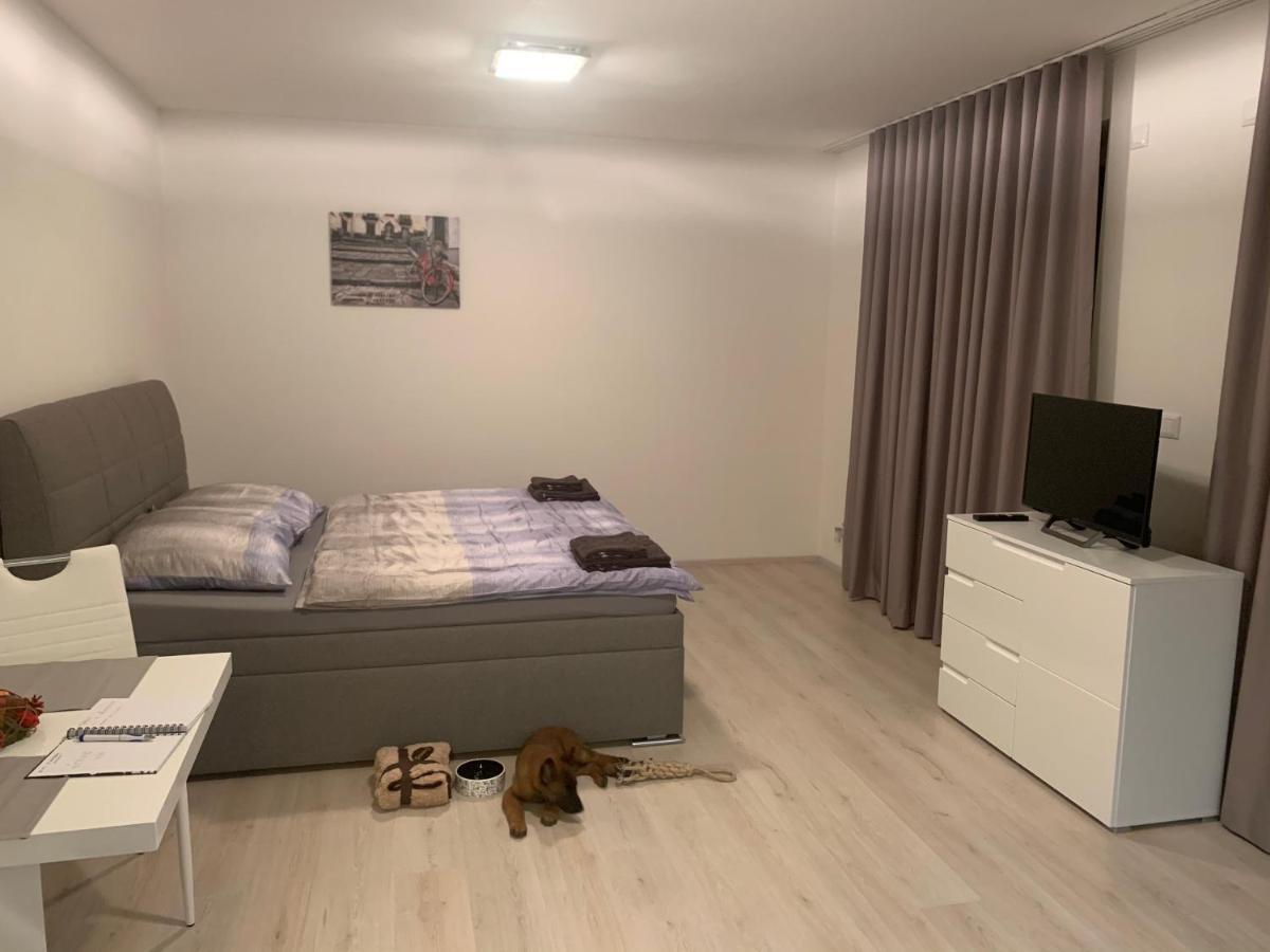 Modern Apartment In The City Center بلزن المظهر الخارجي الصورة